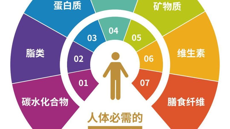 膳食补充剂GMP认证：守护健康，从源头开始